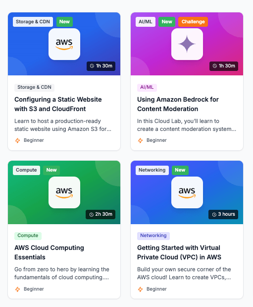 Access control and monitoring interface